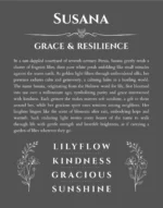 Susana custom name art showing meaning and origin in gray