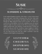 Susie personalized wall art with the story of your name in gray