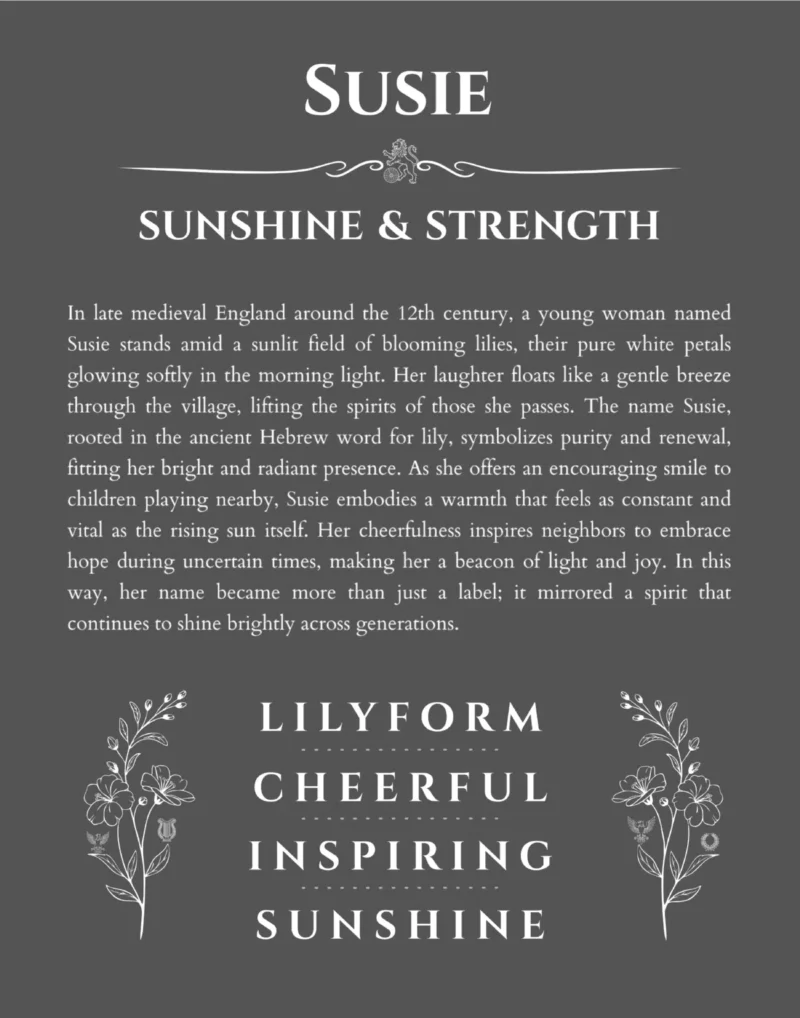 Susie personalized wall art with the story of your name in gray