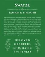Swayze personalized wall art with the story of your name in dark green