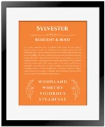 Sylvester custom name art showing meaning and origin in orange with black matte frame