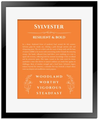 Sylvester custom name art showing meaning and origin in orange with black matte frame