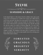 Sylvie personalized name print with origin and traits in gray