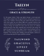 Taelyn name meaning gift print in navy blue