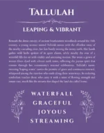 Tallulah name origin print with meaning and traits in purple