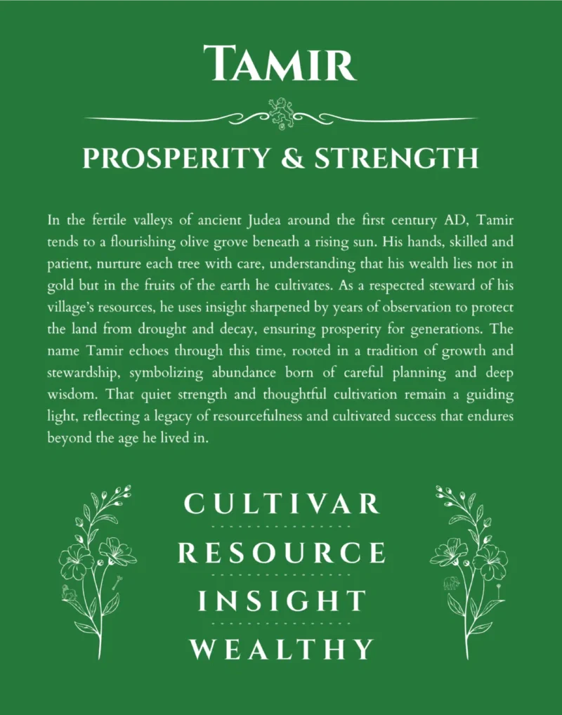 Tamir custom name art showing meaning and origin in dark green