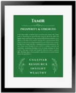 Tamir custom name art showing meaning and origin in dark green with black matte frame