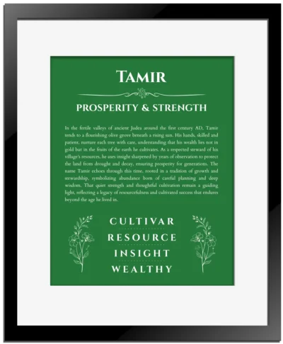 Tamir custom name art showing meaning and origin in dark green with black matte frame