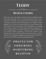 Teddy personalized name meaning print in gray