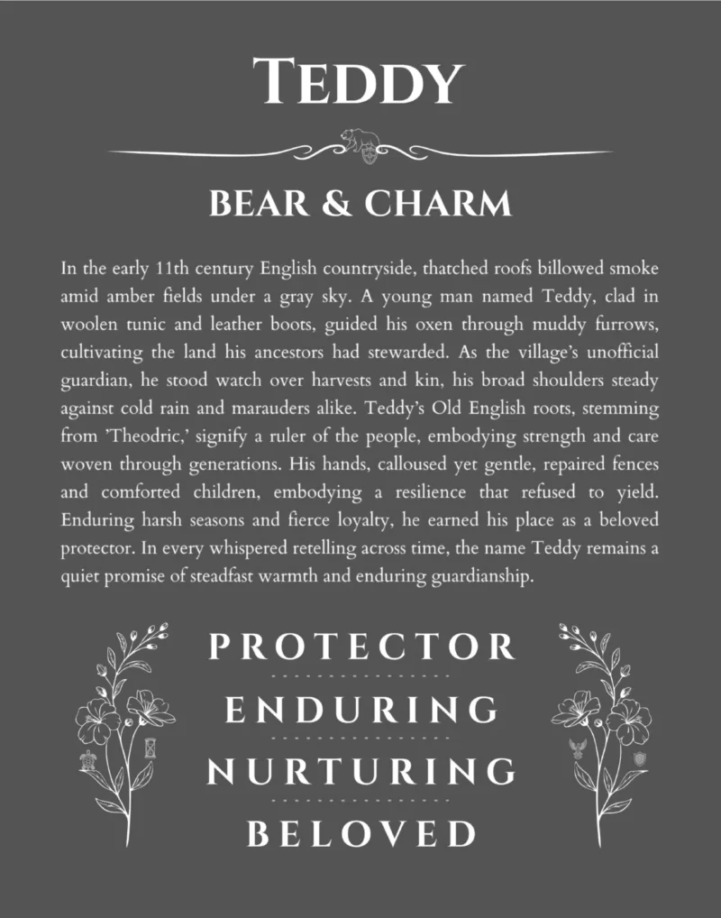 Teddy personalized name meaning print in gray