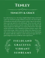 Tenley personalized wall art with the story of your name in dark green