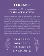 Terence personalized name art with origin story in purple