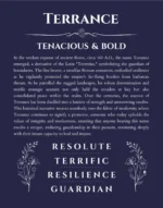 Terrance custom name print for wall display in navy blue