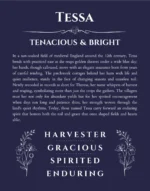 Tessa personalized wall art with the story of your name in navy blue