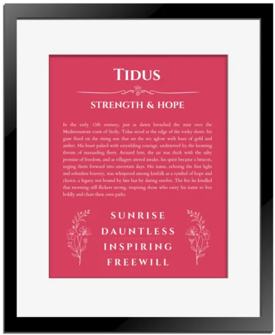 Tidus personalized name art with origin story in red with black matte frame