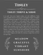 Tinley name origin print with meaning and traits in gray