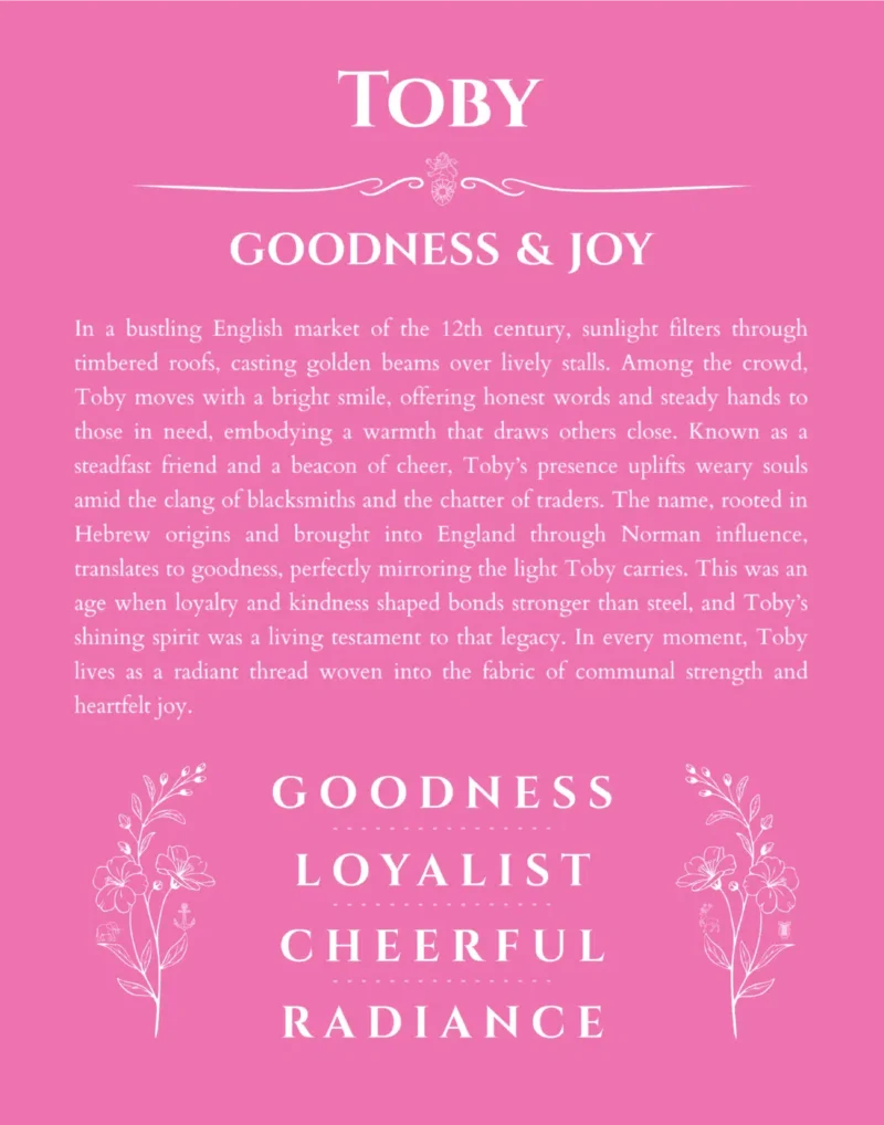Toby personalized name print with origin and traits in pink