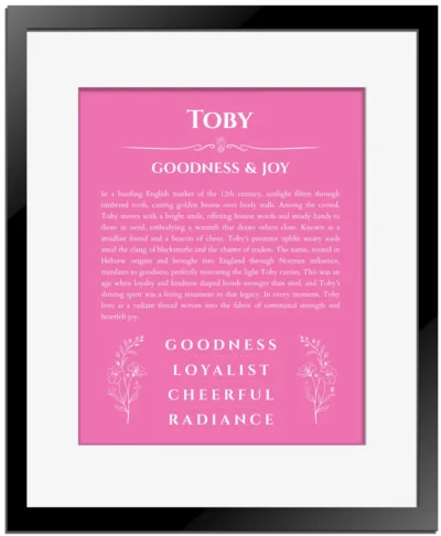 Toby personalized name print with origin and traits in pink with black matte frame