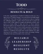 Todd personalized name print with origin and traits in navy blue