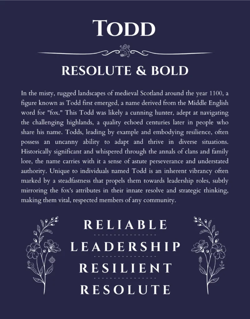 Todd personalized name print with origin and traits in navy blue