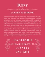 Tony name origin print with meaning and traits in red