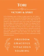 Tori name origin print with meaning and traits in orange