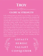 Troy name origin print with meaning and traits in pink