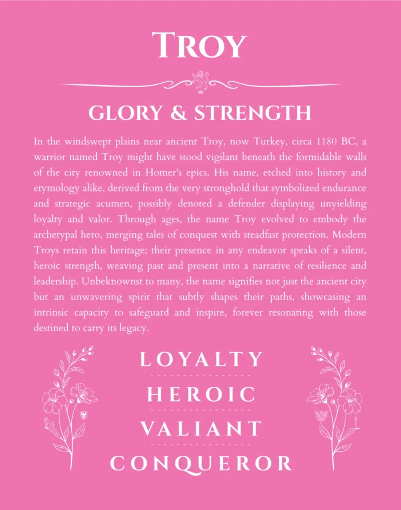 Troy name origin print with meaning and traits in pink