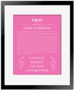 Troy name origin print with meaning and traits in pink with black matte frame