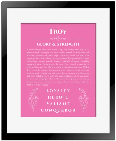Troy name origin print with meaning and traits in pink with black matte frame