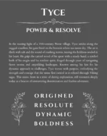 Tyce personalized name art with origin story in gray