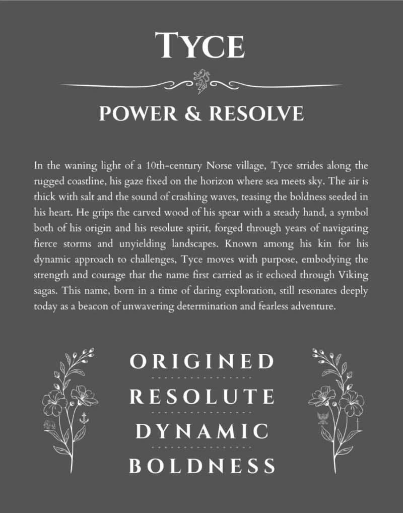 Tyce personalized name art with origin story in gray