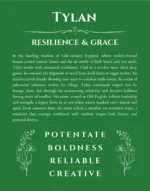 Tylan personalized wall art with the story of your name in dark green