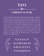 Tzvi custom name meaning print in purple