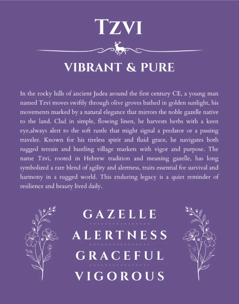 Tzvi custom name meaning print in purple