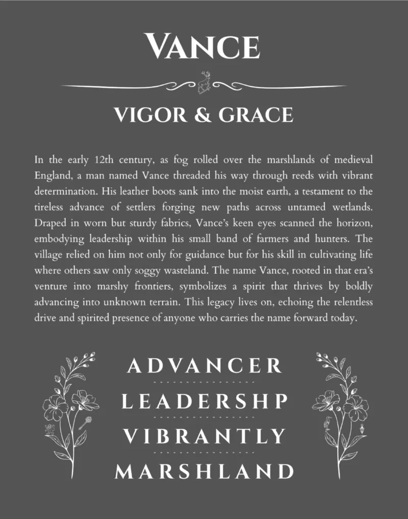 Vance personalized name art with origin story in gray