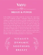 Vayu custom name art showing meaning and origin in pink