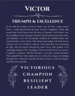 Victor custom name print for wall display in navy blue
