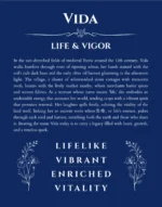 Vida name meaning wall art by Get Your Story in deep blue