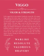 Viggo personalized name art with origin story in red