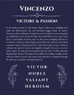 Vincenzo personalized wall art with the story of your name in navy blue