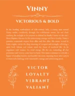 Vinny personalized name art with origin story in orange