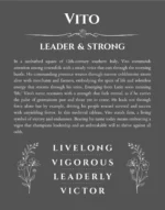 Vito personalized wall art with the story of your name in gray