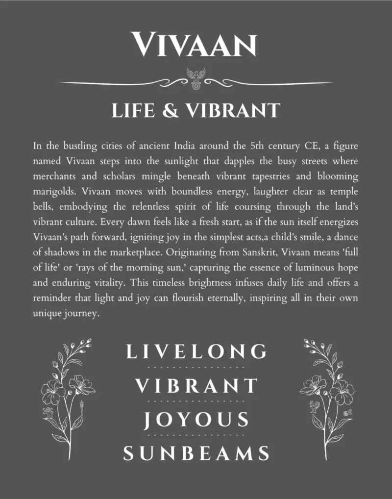 Vivaan custom name meaning print in gray