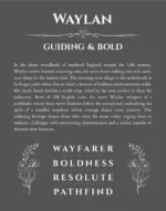 Waylan personalized name art with origin story in gray