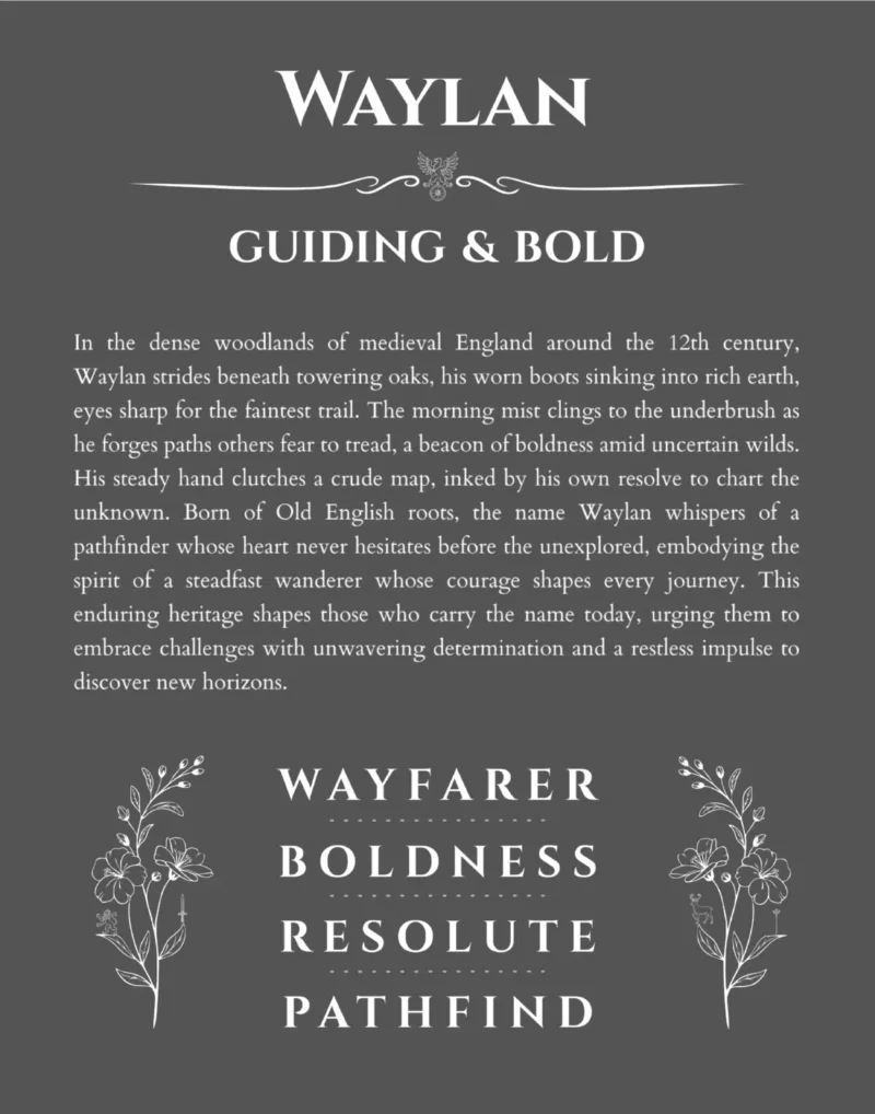 Waylan personalized name art with origin story in gray