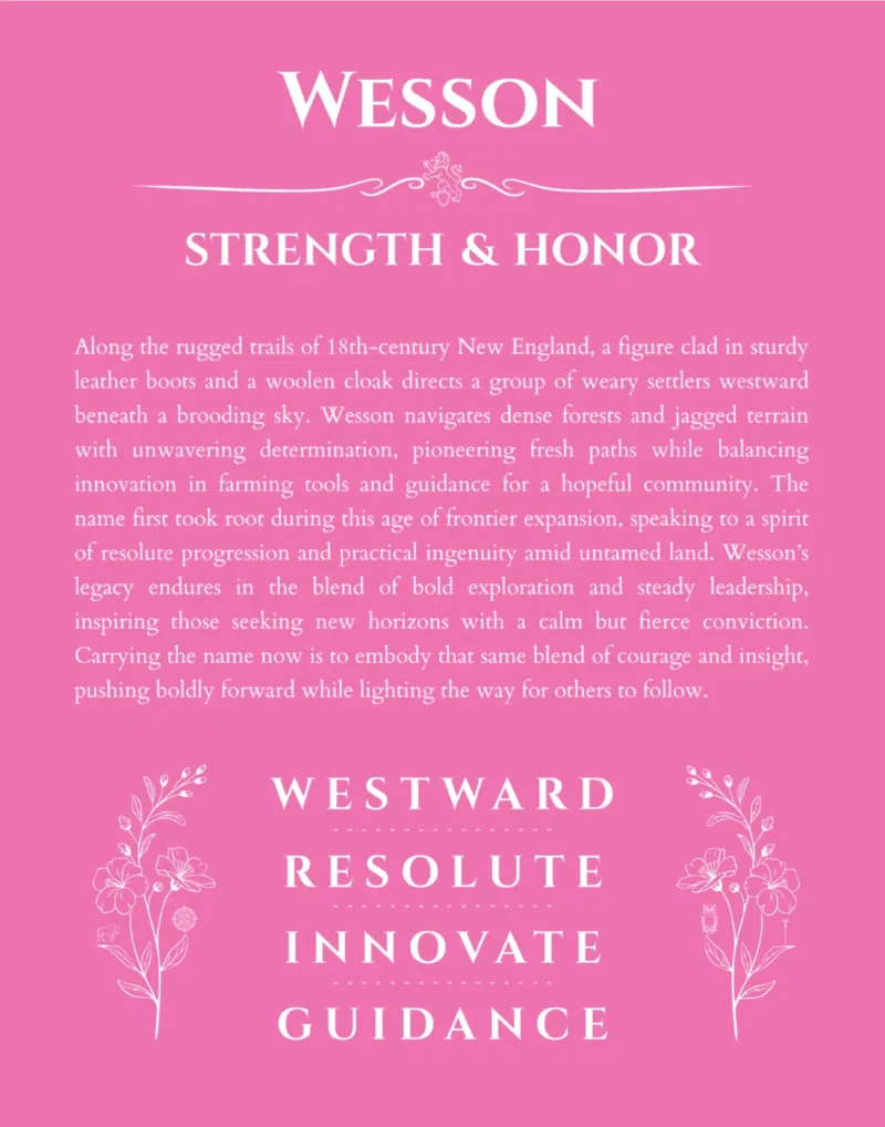 Wesson personalized wall art with the story of your name in pink