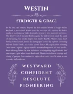 Westin personalized name print with origin and traits in purple