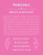 Whitney personalized name print with origin and traits in pink