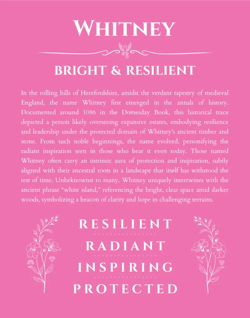 Whitney personalized name print with origin and traits in pink